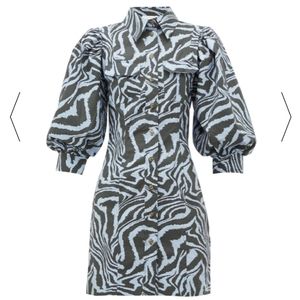 Ganni Zebra Dress